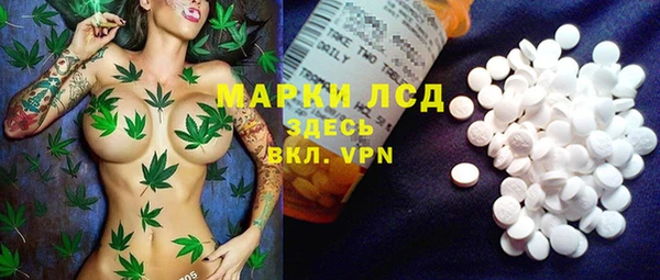 ПСИЛОЦИБИНОВЫЕ ГРИБЫ Михайловка