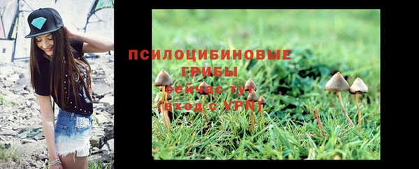 эйфоретик Абаза