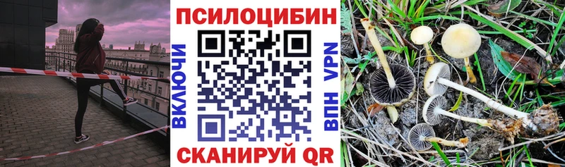 Псилоцибиновые грибы Cubensis  shop клад  Азнакаево 
